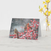 Nördliche Kardinäle | Marion, Illinois Karte (Gelbe Blume)