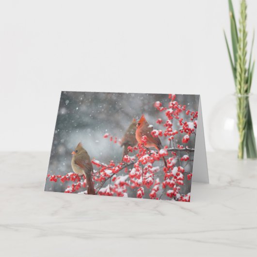 Nördliche Kardinäle | Marion, Illinois Karte (Vorderseite)