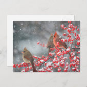 Nördliche Kardinäle | Marion, Illinois Postkarte (Vorne/Hinten)