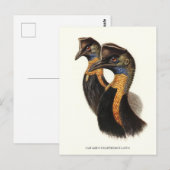 Nördliche Kassowarzen, Vintage Vögel Postkarte (Vorne/Hinten)