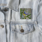 Nördliche Parula (Parula americana) Button (Beispiel)