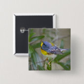 Nördliche Parula (Parula americana) Button (Vorne & Hinten)
