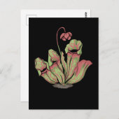 Nördliche Pitcher-Fleischfresser-Pflanze Sarraceni Postkarte (Vorne/Hinten)