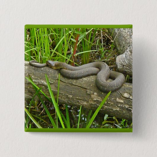 Nördliche Wasserschlange auf Sammelposten Button (Vorderseite)