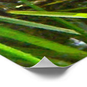 Nördliche Wasserschlange auf Sammelposten Poster (Ecke)