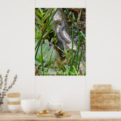 Nördliche Wasserschlange auf Sammelposten Poster (Küche)