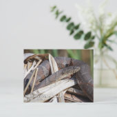 Nördliche Wasserschlange Postkarte (Stehend Vorderseite)