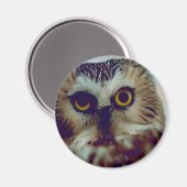 Nördliche Wüstenuhu Magnet (Vorderseite/Rückseite)