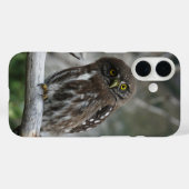 Nördliche Zwergkauz Case-Mate iPhone Hülle (Rückseite (Horizontal))