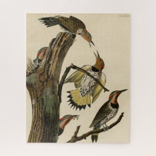 Nördlicher Buntspecht aus Audubons Birds of Americ Puzzle