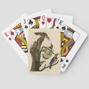 Nördlicher Buntspecht aus Audubons Birds of Americ Spielkarten