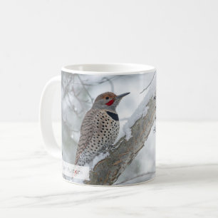 Nördlicher Buntspecht Jesaja 1:18 KJV Kaffeetasse