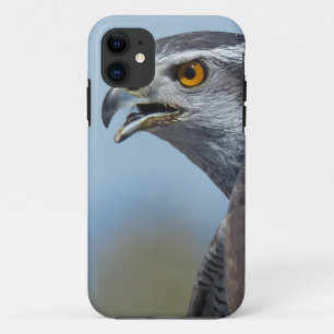 Nördlicher Habichtschrei Case-Mate iPhone Hülle