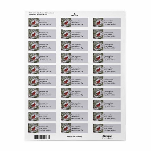 Nördlicher Kardinal (Vorne)