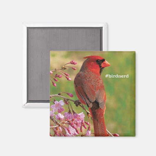 Nördlicher Kardinal 2 Magnet (Vorderseite/Rückseite)