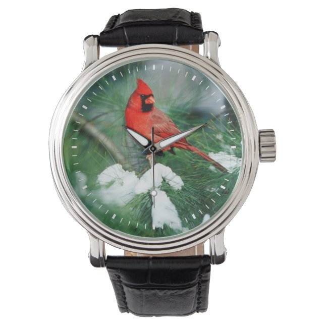Nördlicher Kardinal auf Baum, IL Armbanduhr (Vorderseite)