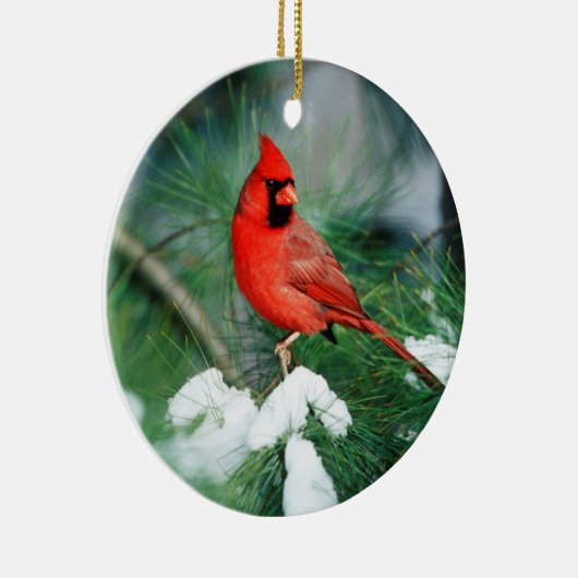 Nördlicher Kardinal auf Baum, IL Keramikornament (Rechts)