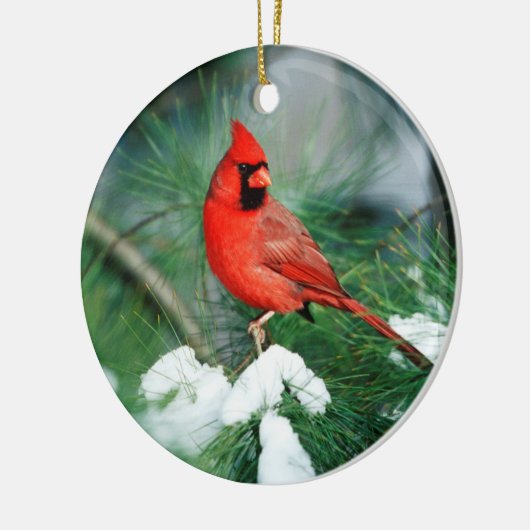 Nördlicher Kardinal auf Baum, IL Keramikornament (Links)