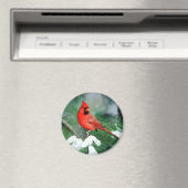 Nördlicher Kardinal auf Baum, IL Magnet (In Situ (Geschirrspüler))
