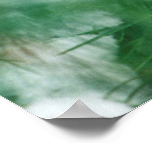 Nördlicher Kardinal auf Baum, IL Poster (Ecke)