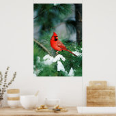Nördlicher Kardinal auf Baum, IL Poster (Küche)