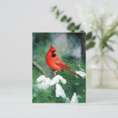 Nördlicher Kardinal auf Baum, IL Postkarte (Stehend Vorderseite)