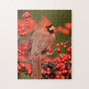 Nördlicher Kardinal auf Gewöhnlicher Winterbeere Puzzle