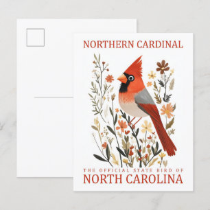 Nördlicher Kardinal Bird of North Carolina USA Postkarte
