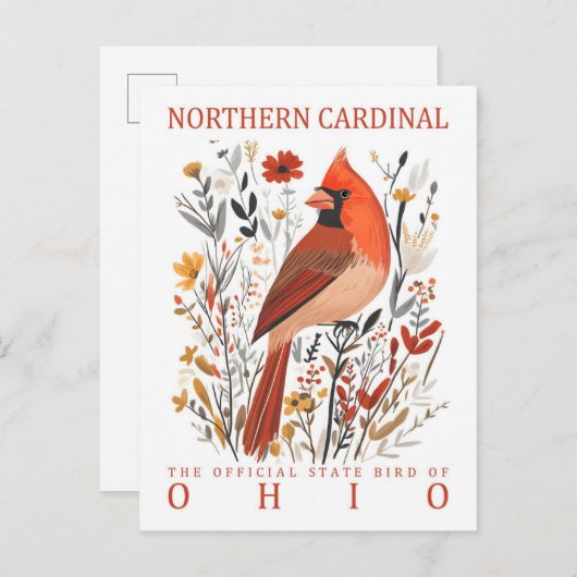 Nördlicher Kardinal Bird of Ohio USA Postkarte (Vorne/Hinten)