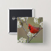 Nördlicher Kardinal Button (Vorne & Hinten)