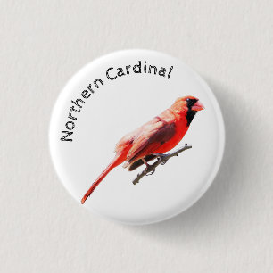 Nördlicher Kardinal Button