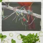 Nördlicher Kardinal, Cardinalis cardinalis, männli Handtuch (Gefaltet)