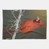 Nördlicher Kardinal, Cardinalis cardinalis, männli Handtuch (Horizontal)