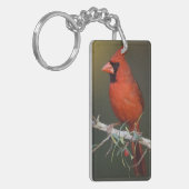 Nördlicher Kardinal, Cardinalis cardinalis, männli Schlüsselanhänger (Vorderseite links)