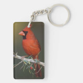 Nördlicher Kardinal, Cardinalis cardinalis, männli Schlüsselanhänger (Rückseite)