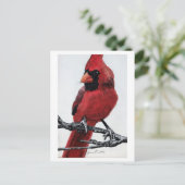 Nördlicher Kardinal Feiertagspostkarte (Stehend Vorderseite)