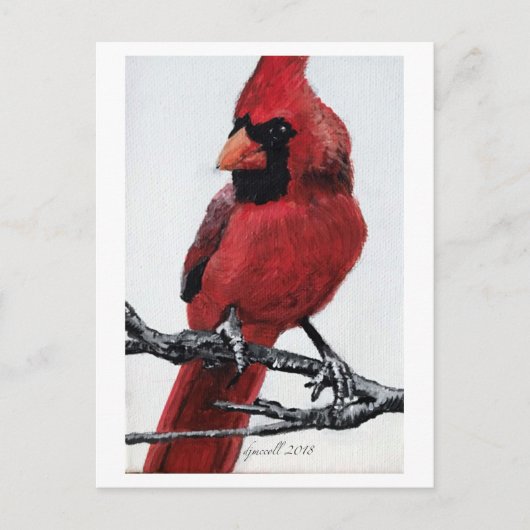 Nördlicher Kardinal Feiertagspostkarte (Vorderseite)