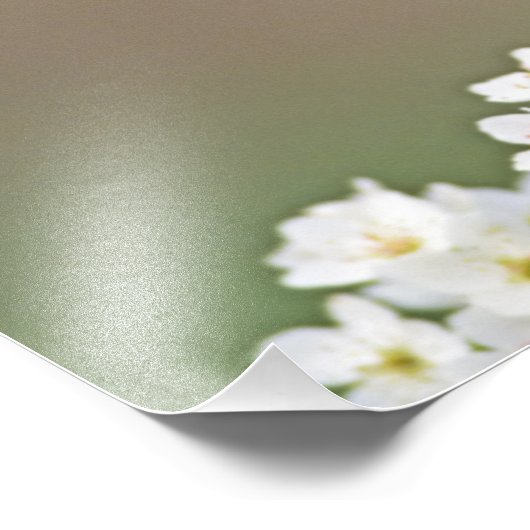 Nördlicher Kardinal Fotodruck (Ecke)