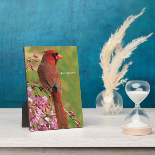 Nördlicher Kardinal Fotoplatte (Seite)