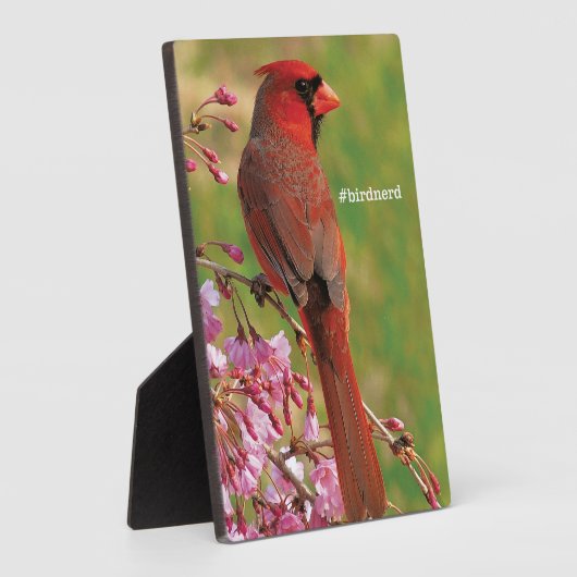 Nördlicher Kardinal Fotoplatte (Seite)