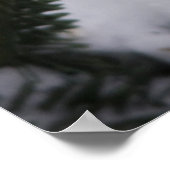 Nördlicher Kardinal in Balsam Tannenbaum im Winter Poster (Ecke)