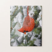 Nördlicher Kardinal in Balsam Tannenbaum im Winter Puzzle (Vertikal)