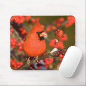 Nördlicher Kardinal in der Winterberge Mousepad (Mit Mouse)