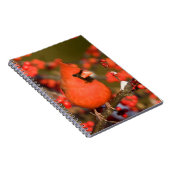 Nördlicher Kardinal in der Winterberge Notizblock (Rechte Seite)