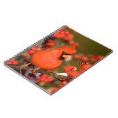 Nördlicher Kardinal in der Winterberge Notizblock (Linke Seite)