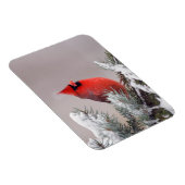 Nördlicher Kardinal in einem Baum Magnet (Rechte Seite)