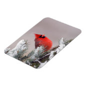 Nördlicher Kardinal in einem Baum Magnet (Linke Seite)