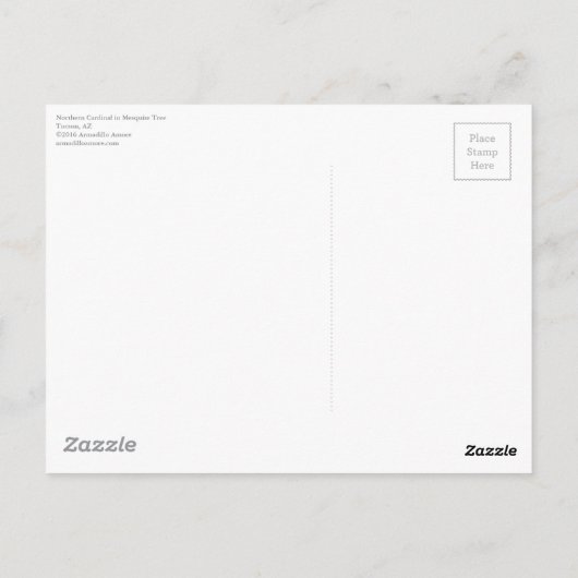 Nördlicher Kardinal in Mesziemlich Tree, Tucson Postkarte (Rückseite)