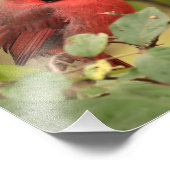 Nördlicher Kardinal in Tree im Frühherbst Fotodruck (Ecke)