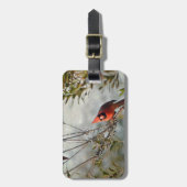 Nördlicher Kardinal in Wax Myrtle Gepäckanhänger (Vorderseite vertikal)